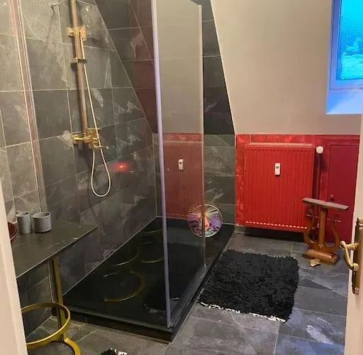 Apartamento In Historischer Mit Gartennutzung Furth im Wald