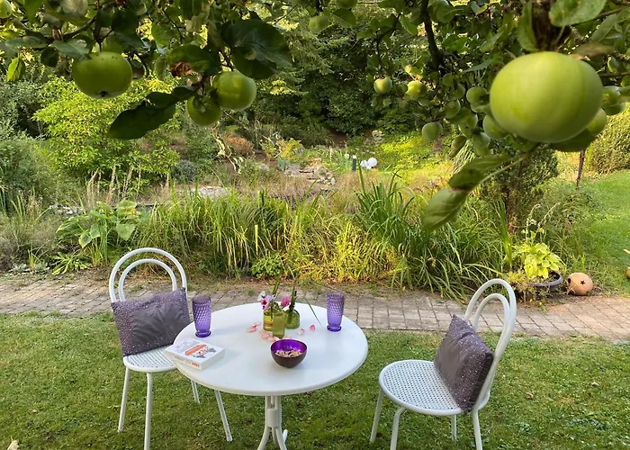 Apartamento In Historischer Mit Gartennutzung *