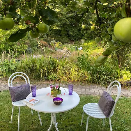 Apartamento In Historischer Mit Gartennutzung *